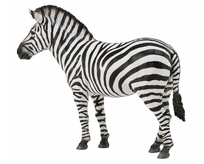 Common Zebra (CollectA)