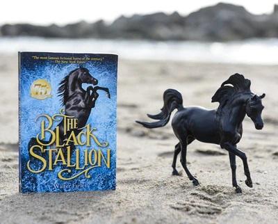 The Black Stallion Horse and Book Set (Freedom Series)