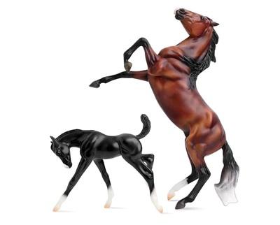 Wild & Free (Freedom Series)