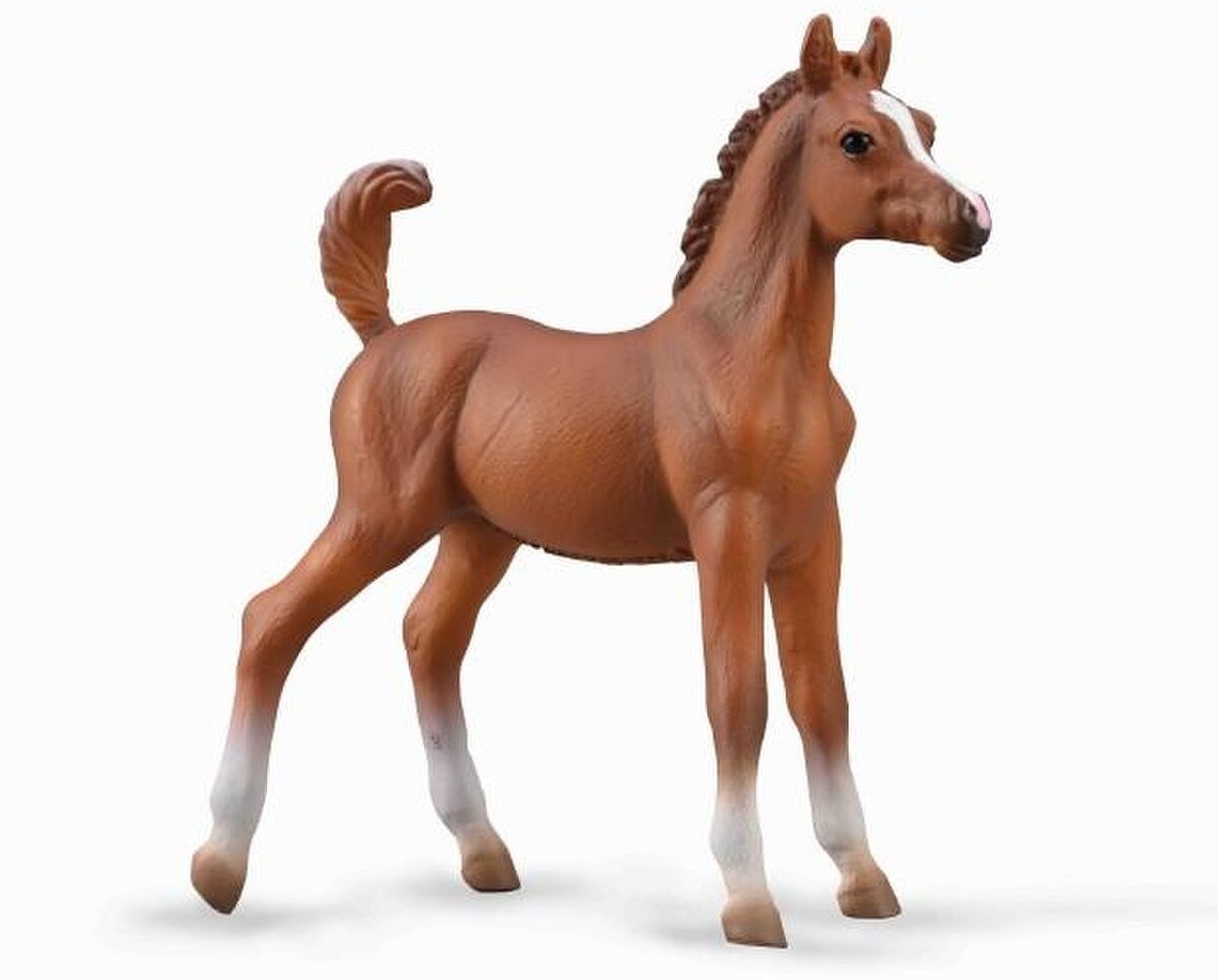 Arabian Foal - Chestnut (CollectA)