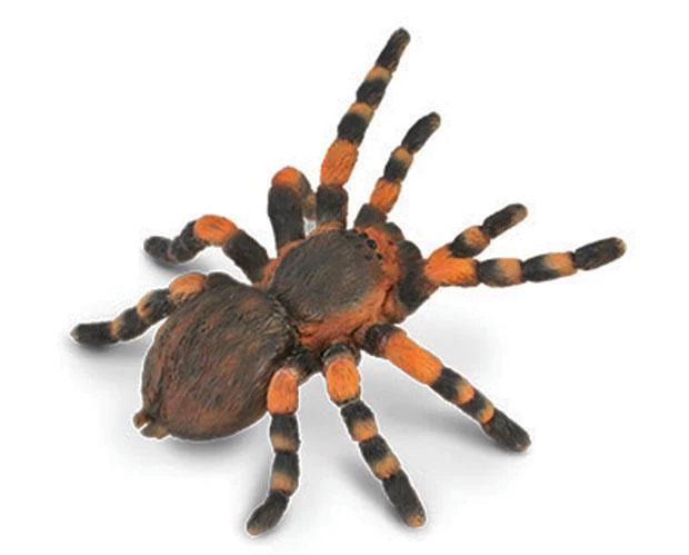 Mexican Redknee Tarantula (CollectA)