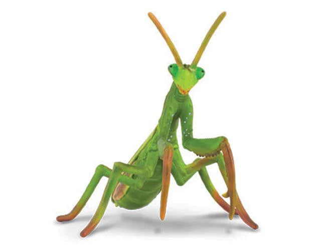 Praying Mantis (CollectA)