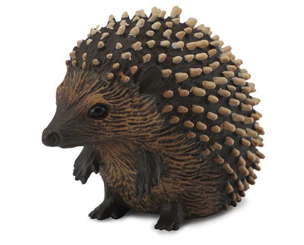 Hedgehog (CollectA)