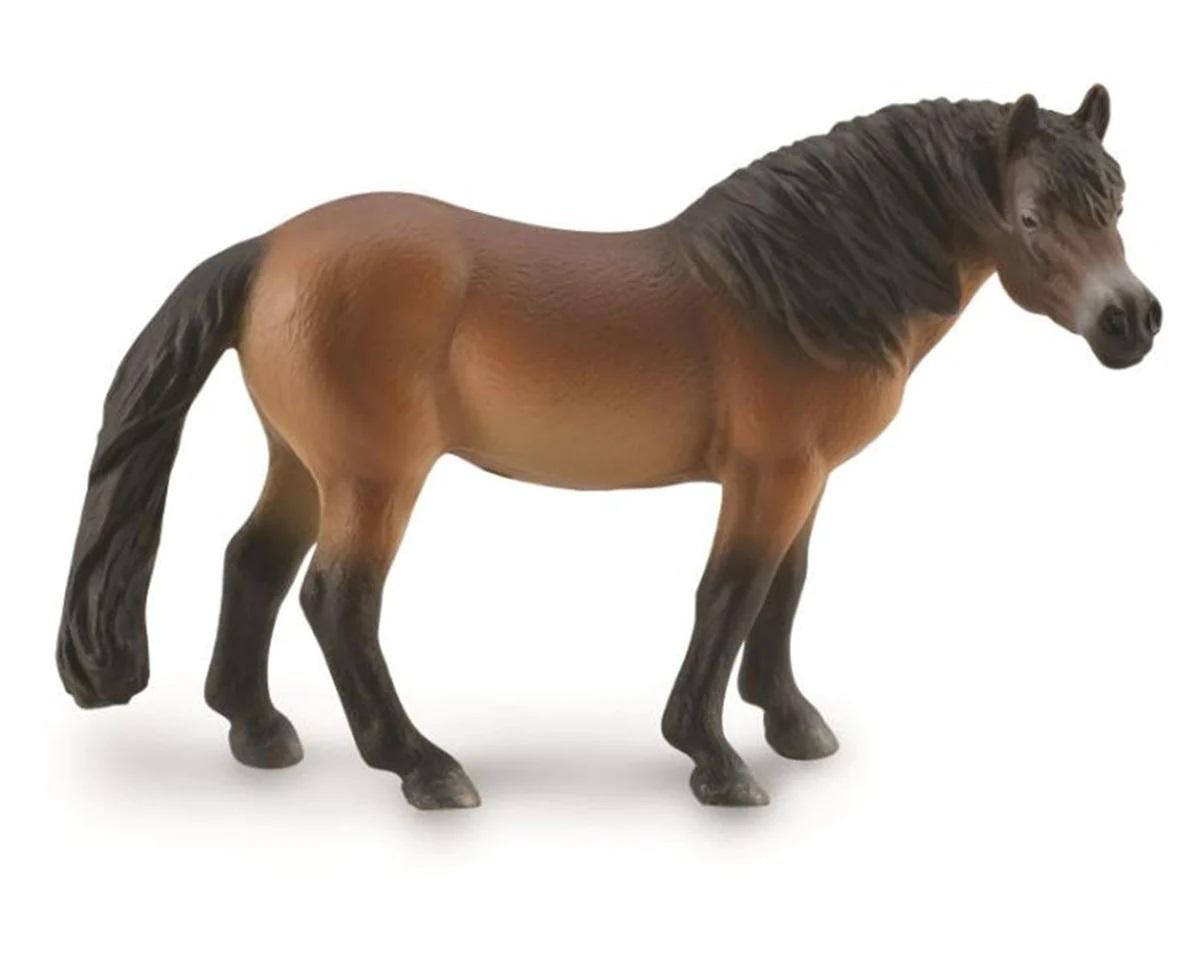 Exmoor Pony Stallion (CollectA)