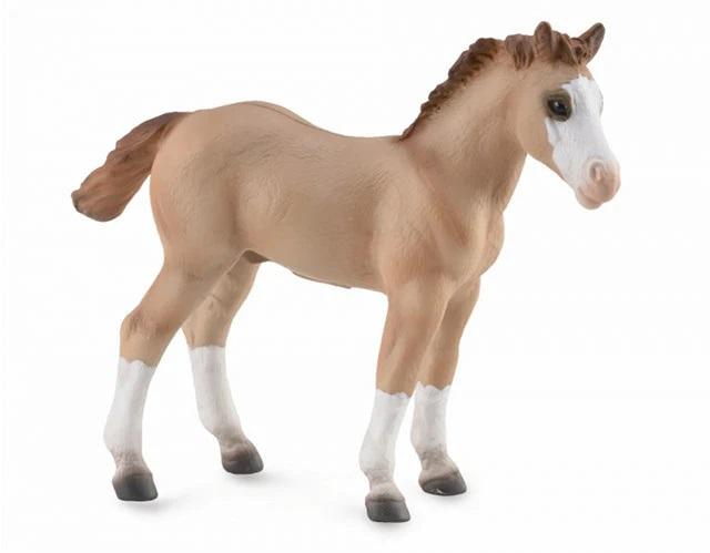 Quarter Horse Foal - Red Dun (CollectA)