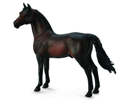 Morgan Stallion - Bay (CollectA)