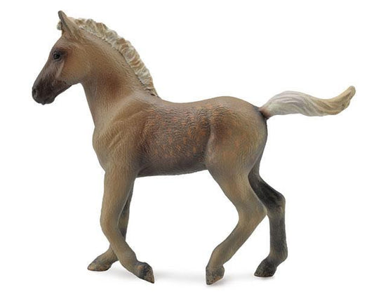 Rocky Mountain Foal - Chocolate (CollectA)