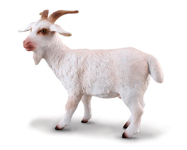 Billy Goat (CollectA)